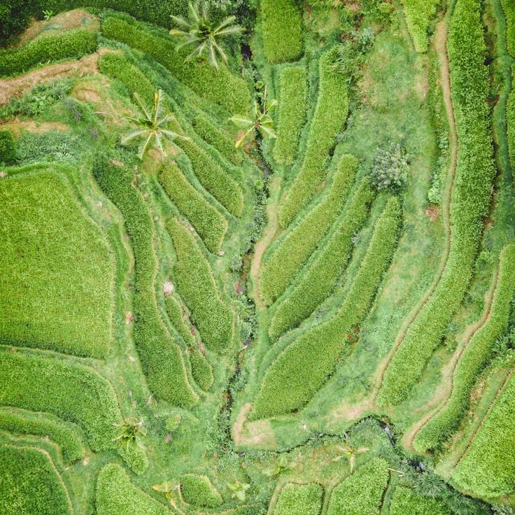 Family terraces and cafés for calm evenings in Florence